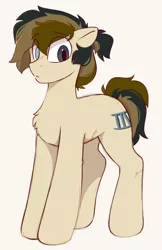 Size: 1287x1983 | Tagged: safe, artist:crimmharmony, derpibooru import, oc, oc:115, unofficial characters only, earth pony, pony, heterochromia, image, male, man bun, png, scar, solo, standing