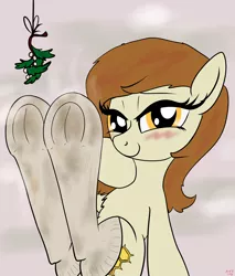 Size: 3400x4000 | Tagged: suggestive, artist:littlenaughtypony, derpibooru import, oc, oc:plumb honey, clothes, dirty socks, fetish, frog (hoof), hoof fetish, image, jpeg, looking at you, mistleholly, smelly, smelly socks, smiling, socks, stinky socks, sweat, sweaty socks, underhoof, visible stench