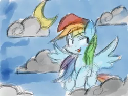 Size: 1024x768 | Tagged: safe, artist:ameliayap, derpibooru import, rainbow dash, pegasus, pony, female, image, jpeg, moon, night, solo