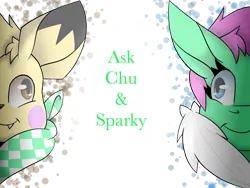 Size: 1600x1200 | Tagged: safe, artist:chu-and-sparky-127, derpibooru import, oc, oc:firework spark, unofficial characters only, pegasus, pikachu, pony, ask, bust, duo, female, image, mare, neckerchief, pegasus oc, png, pokémon, simple background, smiling, transparent background, wings