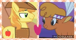 Size: 673x350 | Tagged: safe, derpibooru import, edit, edited screencap, screencap, braeburn, little strongheart, buffalo, earth pony, pony, over a barrel, braeheart, clothes, female, image, male, png, shipping, shipping domino, stallion, straight, watermark