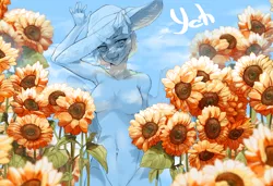 Size: 2280x1560 | Tagged: safe, artist:mashiro, derpibooru import, oc, anthro, commission, flower, image, png, solo, sunflower, your character here