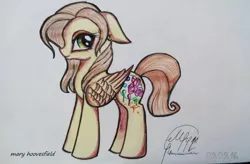 Size: 1024x673 | Tagged: safe, artist:maryhoovesfield, derpibooru import, oc, unofficial characters only, pegasus, pony, flower, image, jpeg, pegasus oc, rose, signature, solo, traditional art, wings