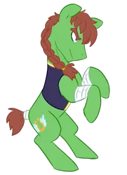 Size: 2765x3816 | Tagged: safe, artist:chub-wub, derpibooru import, oc, oc:swift stride, unofficial characters only, earth pony, pony, bandage, braid, braided ponytail, clothes, earth pony oc, high res, image, male, png, rearing, simple background, smiling, smirk, solo, stallion, tail wrap, transparent background, vest