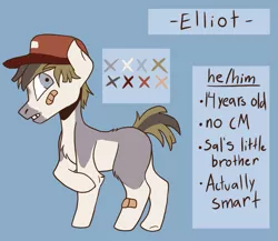 Size: 1501x1302 | Tagged: safe, artist:friendlyarts, derpibooru import, oc, oc:elliot, unofficial characters only, earth pony, pony, bandaid, baseball cap, blue eyes, cap, colt, hat, image, male, png, reference sheet, solo