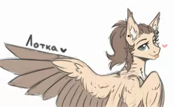 Size: 2480x1516 | Tagged: safe, artist:dorkmark, derpibooru import, oc, oc:dimass, pegasus, pony, cyrillic, image, jpeg, russian, sketch, solo, wings