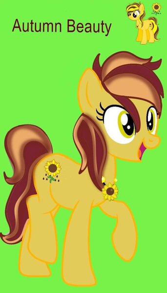 Size: 675x1184 | Tagged: safe, artist:mezairplush, derpibooru import, oc, oc:autumn beauty, earth pony, earth pony oc, image, jpeg, reference sheet