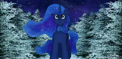 Size: 2484x1200 | Tagged: safe, artist:akuneanekokuro, derpibooru import, princess luna, alicorn, pony, ethereal mane, female, image, jpeg, looking up, night, sky, snow, solo, starry mane, stars, tree, winter