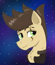 Size: 1789x2087 | Tagged: safe, artist:dyonys, derpibooru import, oc, oc:night chaser, earth pony, pony, bust, clothes, fluffy, handsome, image, jacket, male, night, night sky, png, scar, sky, smiling, stallion, stars