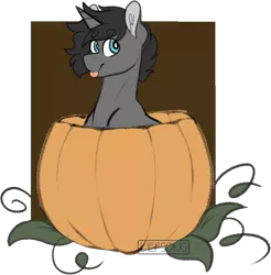 Size: 1123x1142 | Tagged: safe, artist:liefsong, derpibooru import, oc, oc:wilson, unofficial characters only, pony, unicorn, :p, ear fluff, image, male, png, pumpkin, simple background, stallion, tongue out, transparent background