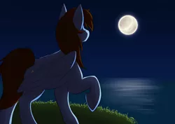 Size: 1063x752 | Tagged: safe, artist:carrscrap, derpibooru import, oc, oc:pegasusgamer, unofficial characters only, pegasus, full body, full moon, image, jpeg, moon, night, ocean, one hoof raised, pegasus oc, solo, wings