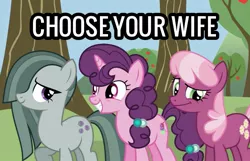 Size: 713x458 | Tagged: safe, derpibooru import, cheerilee, marble pie, sugar belle, earth pony, pony, unicorn, caption, choose your wife, female, image, image macro, jpeg, mare, text