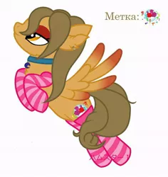 Size: 570x604 | Tagged: safe, artist:maryhoovesfield, derpibooru import, oc, unofficial characters only, pegasus, pony, bedroom eyes, choker, clothes, ear fluff, image, jpeg, pegasus oc, simple background, socks, solo, striped socks, white background, wings