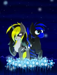 Size: 3000x4000 | Tagged: safe, artist:juliet-gwolf18, derpibooru import, oc, oc:blue moon, oc:juliet, unofficial characters only, alicorn, pegasus, pony, alicorn oc, duo, eyelashes, female, flower, horn, image, male, mare, outdoors, pegasus oc, png, raised hoof, signature, smiling, stallion, wings