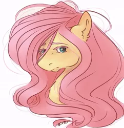 Size: 745x769 | Tagged: safe, artist:rrrover, derpibooru import, fluttershy, pegasus, pony, bust, ear fluff, eyebrows, female, image, jpeg, looking at you, mare, portrait, simple background, solo, stray strand, three quarter view, white background