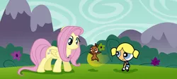 Size: 2000x893 | Tagged: safe, artist:vmkhappy-panda, derpibooru import, fluttershy, flying squirrel, human, pegasus, pony, squirrel, bubbles (powerpuff girls), bullet, crossover, flower, flying, image, png, the powerpuff girls