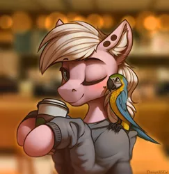 Size: 2910x3000 | Tagged: safe, artist:phenya, derpibooru import, oc, oc:feather spread, unofficial characters only, bird, macaw, pony, animal, blurred background, clothes, coffee, coffee cup, cup, duo, ear fluff, folded wings, hoodie, image, looking at you, male, one eye closed, png, signature, smiling, solo focus, wings, wink
