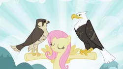 Size: 1920x1080 | Tagged: safe, derpibooru import, screencap, fluttershy, bald eagle, bird, eagle, falcon, pegasus, pony, may the best pet win, eyes closed, female, flying, image, mare, perching, peregrine falcon, png, smiling, t pose