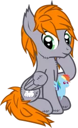 Size: 742x1214 | Tagged: safe, artist:lightningbolt, derpibooru import, rainbow dash, oc, oc:dreamy orange, unofficial characters only, pony, derpibooru community collaboration, .svg available, 2021 community collab, butt fluff, cheek fluff, derpibooru exclusive, ear fluff, fluffy, folded wings, hoof fluff, image, looking at you, male, plushie, png, pointy ponies, raised hoof, simple background, sitting, smiling, stallion, transparent background, vector, wing fluff, wings