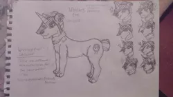 Size: 1024x576 | Tagged: safe, artist:bronywishbone, derpibooru import, oc, oc:whitney the uniwolf, hybrid, pony, unicorn, wolf, concept art, crossover, expressions, image, jpeg, sketch, traditional art, wishbone heroes, wishbone heroes: friends forever