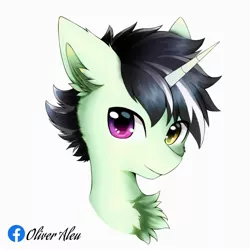 Size: 2000x2000 | Tagged: safe, artist:aleuoliver, derpibooru import, oc, unofficial characters only, pony, unicorn, bust, chest fluff, ear fluff, heterochromia, horn, image, jpeg, simple background, smiling, solo, unicorn oc, white background