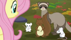 Size: 1280x720 | Tagged: safe, derpibooru import, screencap, fluttershy, ferret, mouse, squirrel, the hooffields and mccolts, animal, hungry, image, jpeg, sad, starving, stomach growl, stomach noise, worried