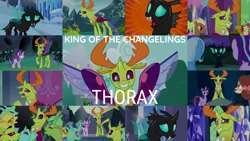 Size: 1976x1111 | Tagged: safe, derpibooru import, edit, edited screencap, editor:quoterific, screencap, arista, clypeus, cornicle, daisy, flower wishes, frenulum (character), meadow song, ocellus, soupling, starlight glimmer, thorax, trixie, twilight sparkle, yona, alicorn, changedling, changeling, yak, celestial advice, school daze, the times they are a changeling, to change a changeling, to where and back again, triple threat, uprooted, disguise, disguised changeling, image, king thorax, png, rock, rockellus, twilight sparkle (alicorn)