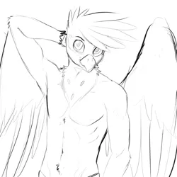 Size: 2400x2400 | Tagged: suggestive, artist:d-lowell, derpibooru import, oc, oc:kalimu, unofficial characters only, anthro, gryphon, arm fluff, belly fluff, chest fluff, clothes, grin, image, looking at you, male, monochrome, partial nudity, png, simple background, sketch, smiling, solo, solo male, topless, white background