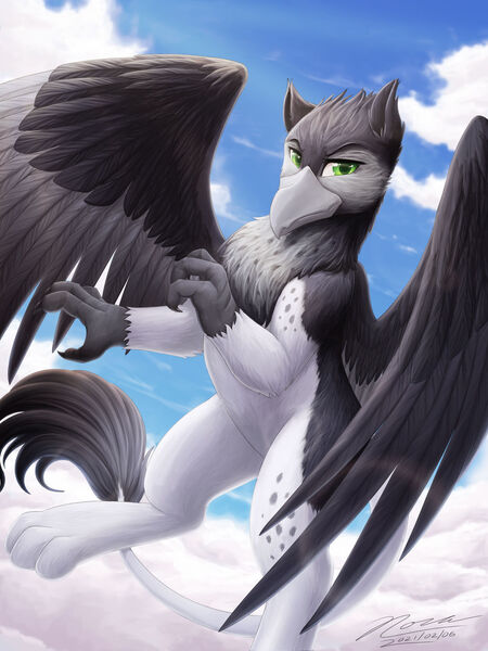 Size: 1024x1366 | Tagged: safe, artist:novaintellus, derpibooru import, oc, oc:greyfeather, unofficial characters only, gryphon, bust, chest fluff, cloud, griffon oc, image, jpeg, male, portrait, solo, spread wings, wings