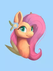 Size: 1024x1366 | Tagged: safe, artist:kusoazi, derpibooru import, fluttershy, pegasus, pony, blue background, bust, chest fluff, female, flower, flower in ear, image, looking at you, mare, png, portrait, simple background, smiling, solo, three quarter view, wings