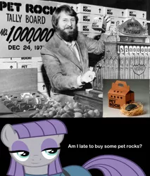 Size: 2048x2408 | Tagged: safe, derpibooru import, boulder (pet), maud pie, earth pony, human, pony, black and white, black background, gary dahl, grayscale, how she got boulder, image, monochrome, pet rock, photo, png, simple background