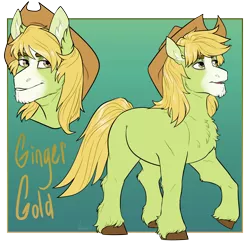 Size: 3500x3500 | Tagged: safe, artist:jeshh, derpibooru import, oc, oc:ginger gold, unofficial characters only, earth pony, pony, chest fluff, cowboy hat, gradient background, hat, image, male, offspring, parent:applejack, parent:trouble shoes, parent:troubleshoes clyde, parents:troublejack, png, solo, stallion, unshorn fetlocks