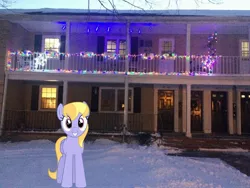 Size: 3264x2448 | Tagged: safe, artist:bluemeganium, artist:topsangtheman, derpibooru import, cloud kicker, pegasus, pony, christmas, christmas lights, holiday, house, image, irl, jpeg, looking at you, photo, ponies in real life, snow, solo
