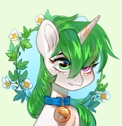 Size: 3562x3670 | Tagged: safe, artist:aphphphphp, derpibooru import, oc, oc:sugarstar, unofficial characters only, pony, unicorn, absurd resolution, bell, bell collar, bust, collar, flower, image, png, portrait, simple background, solo