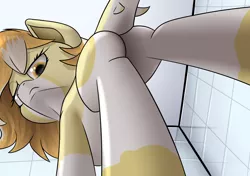 Size: 2560x1800 | Tagged: suggestive, artist:skanim-sdw, derpibooru import, oc, oc:orange cream, unofficial characters only, original species, pony, shark, shark pony, bathroom, butt, commission, disappointed, female, hooves, image, looking at you, looking down, looking down at you, macro, micro, offscreen character, png, pov, shower, solo, solo female