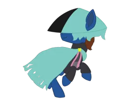 Size: 1200x1000 | Tagged: safe, artist:derpy_the_duck, derpibooru import, oc, oc:derp, earth pony, cape, clothes, dust: an elysian tail, hat, image, outfit, png, solo
