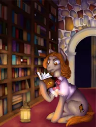 Size: 967x1280 | Tagged: safe, artist:sugar lollipop, derpibooru import, oc, oc:booky, unofficial characters only, earth pony, book, bookshelf, complex background, digital art, digital painting, female, image, jpeg, lantern, library, reading, request, requested art, serious, serious face, sitting, solo