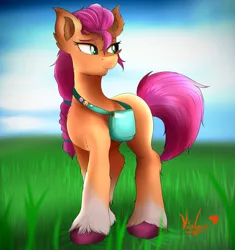 Size: 3200x3400 | Tagged: safe, artist:pizzavioletgirl, derpibooru import, sunny starscout, earth pony, pony, badge, bag, braid, ear fluff, female, g5, grass, high res, image, jpeg, mare, signature, sky, smiling, solo, unshorn fetlocks