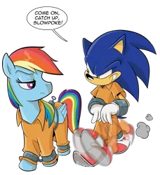 Size: 731x800 | Tagged: safe, artist:boscoloandrea, derpibooru import, rainbow dash, hedgehog, pegasus, pony, bashing, bound wings, clothes, cuffs, duo, image, png, prison outfit, prisoner, prisoner rd, running, simple background, smiling, smirk, sonic the hedgehog, sonic the hedgehog (series), sonic vs rainbow dash, transparent background, unamused, wing cuffs, wings