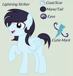 Size: 2397x2502 | Tagged: safe, artist:lominicinfinity, derpibooru import, oc, oc:lightning striker, pegasus, pony, image, male, png, reference sheet, scar, simple background, solo, stallion