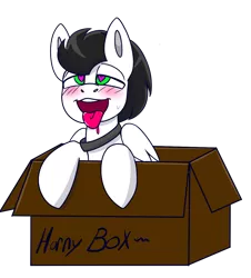 Size: 1090x1208 | Tagged: suggestive, artist:askhypnoswirl, derpibooru import, oc, oc:skysprinter, unofficial characters only, pegasus, pony, ahegao, blushing, box, collar, cute, drool, heart eyes, horny, hypnosis, image, male, open mouth, png, pony in a box, simple background, solo, sweat, sweatdrop, tongue out, transparent background, wingding eyes