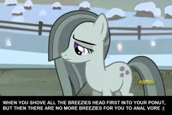 Size: 1278x858 | Tagged: suggestive, derpibooru import, edit, edited screencap, screencap, marble pie, earth pony, pony, hearthbreakers, caption, discovery family logo, female, fetish, image, image macro, implied anal vore, implied vore, mare, png, sad, solo, text