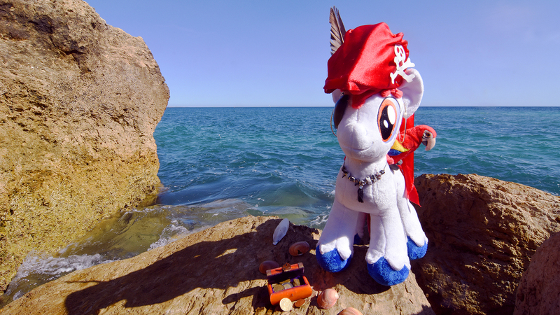 Size: 1920x1080 | Tagged: safe, alternate version, artist:steam-loco, derpibooru import, oc, oc:stroopwafeltje, oc:waffles, pony, unicorn, albufeira, convention oc, image, jpeg, male, ocean, photo, pirate, plushie, ponycon holland, portugal, rock, solo, stallion, talk like a pirate day