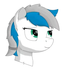 Size: 1280x1440 | Tagged: safe, artist:zocidem, derpibooru import, oc, oc:benzene, unofficial characters only, earth pony, pony, bust, digital art, head, image, png, portrait, simple background, solo, transparent background