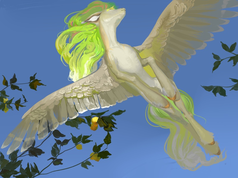 Size: 2560x1920 | Tagged: safe, artist:yanisfucker, derpibooru import, oc, unofficial characters only, pegasus, pony, commission, female, flying, food, image, jpeg, lemon, mare, realistic horse legs, solo, wings