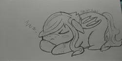 Size: 4160x2080 | Tagged: safe, artist:softdarkness, derpibooru import, oc, oc:midnight ruby, bat pony, bat pony oc, bat wings, chibi, chubby, female, grayscale, image, jpeg, monochrome, onomatopoeia, sleeping, solo, sound effects, traditional art, wings, zzz