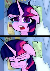 Size: 763x1080 | Tagged: safe, artist:nel_liddell, derpibooru import, twilight sparkle, twilight sparkle (alicorn), alicorn, pony, the ending of the end, 2 panel comic, bust, chest fluff, comic, crying, d:, eyes closed, female, floppy ears, image, mare, open mouth, png, scared, scene interpretation, solo, tears of fear