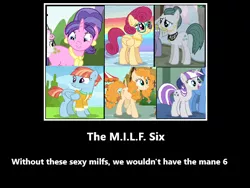 Size: 480x360 | Tagged: safe, derpibooru import, edit, edited screencap, screencap, cloudy quartz, cookie crumbles, pear butter, posey shy, twilight velvet, windy whistles, earth pony, pegasus, pony, unicorn, female, image, mare, milf, milf six, mom six, motivational poster, png