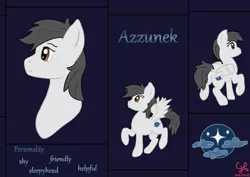 Size: 2480x1754 | Tagged: safe, artist:dumbprincess, derpibooru import, oc, oc:azzunek, pegasus, pony, bust, cutie mark, dark background, front view, full body, image, multiple views, png, rear view, reference sheet, side view, text