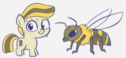 Size: 947x439 | Tagged: safe, artist:heretichesh, derpibooru import, oc, bee, insect, pony, antennae, colt, fuzz, giant bee, image, male, png, scared, silly, sketch, sweat, wings